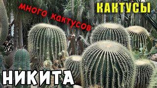 Крым Парк Монтедор. Райский Сад и Кактусовая оранжерея в посёлке Никита.