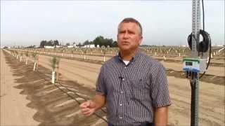 Weidenbach Farms on Growing Almonds with Hortau Irrigation Management