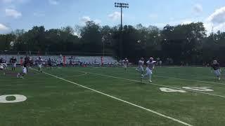 QB Evan Simon guides Manheim Central offense