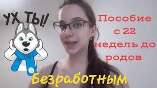 Пособие беременным безработным с 22 недель до родов
