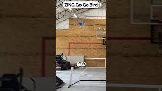 "Zing Go Go Bird: Remote-Controlled Flying Toy That Looks Like a Real Bird! ️" #maanivstech #tech
