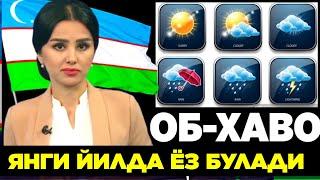 30-31-ДЕКАБР ОБИ-ХАВО ЁЗ БУЛАДИ. ЎЗБЕКИСТОНДА ҚОРСИЗ ЯНГИ ЙИЛ.