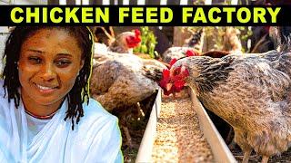 She Own Gambia's First Chicken Feed Factory Holland  