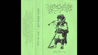 Hole Dweller - Flies The Coop (2019) (Dungeon Synth, Fantasy Synth)