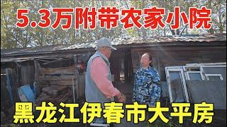 黑龙江伊春市大平房，5.3万附带农家小院，鬼哥实地看房压价！【鬼头看房】