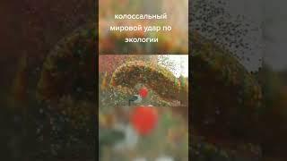 Что скажете ? #мистика #паранормальное #привидение #жутко #призрак #уфо #сша #катастрофы