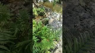 ธรรมชาติเติมแต่งให้ชีวิต