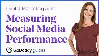 Evaluating Social Media Performance in the GoDaddy Digital Marketing Suite