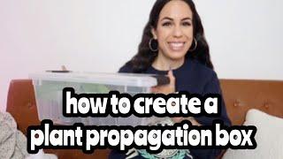 How to create a House Plant Propagation box - step by step!