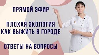 Прямой эфир Плохая экология Как выжить в городе Ответы на вопросы 27.11.2021