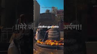 तेरे दर पे जो आई मिट गई मेरी दुविधा सारी #mahadev #bholenath #shiv #shorts #status #mahakal #shiva