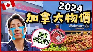 【加拿大移民】【分享】2024加拿大物價 !! |肉都吃不起了!?|【캐나다 이민】2024 캐나다 물가!! | 고기도 비싸서 못 먹겠다 !!| 방랑이민일지 |流浪移民日誌DJ Wang