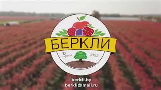 Фермерское хозяйство "БЕРКЛИ"