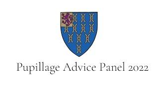 Pupillage Advice Panel 2022