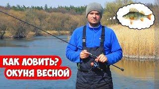 Как ловить ОКУНЯ ВЕСНОЙ - типы снастей и проводки на спиннинг