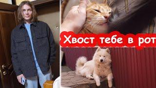 VLOG Задолбали