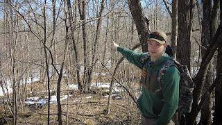 Scouting Big Woods Public Land