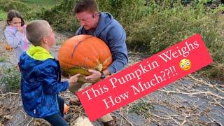 GIANT Pumpkin Harvest | 81lb PUMPKIN
