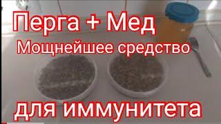 Перга с медом  Мощнейшее средство для иммунитета   Как принимать???