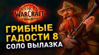 Гайд | Соло Вылазка Грибные Гадости 8 | Охотник | World of Warcraft The War Within