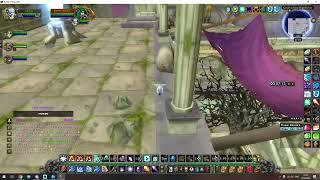 Wow Classic DMW 160-210 Mobs 50-60k Xp run 50-60 LVL 1000g/h Training