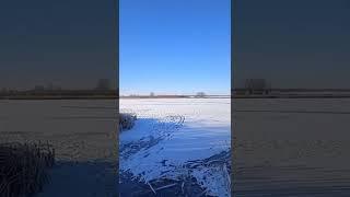 "Нюрка" Песни разных жанров.Народные таланты.