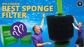 Our Favourite Sponge Filter