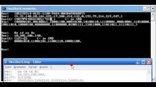 Batch converter - Hexadecimal to ascii, binary and decimal