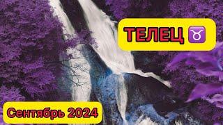 ТЕЛЕЦ-ТАРО ПРОГНОЗ/ТЕЛЕЦ СЕНТЯБРЬ 2024/ ТАРО ПРОГНОЗ НА СЕНТЯБРЬ 2024 #таро #телец #телецы #сентябрь