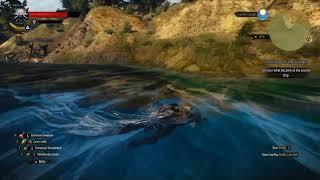 The Witcher 3 - Drowner swims in land