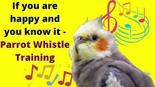 If you are happy and you know it - cockatiel singing training - Bird Whistle Training!