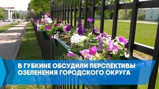 В Губкине обсудили перспективы озеленения городского округа