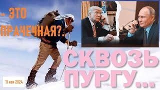 * СКВОЗЬ ПУРГУ * ТРАМП ПОЗВОНИЛ ПУТИНУ * АРЕСТЫ СУДЕЙ МУС * ИЗОБРЕТЕНИЕ НЮХОСКОПА *