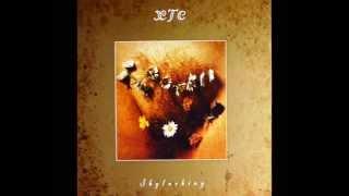XTC - Big Day - Skylarking 2010