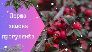 ПЕРША ЗИМОВА прогулянка | Моя Квітуча Садиба