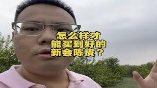 怎么样才能买到好的新会陈皮？需要看树种吗？抓住一个核心原则