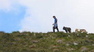 Vivere la montagna, Bruno Gandoli, pastore a fil di cielo