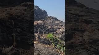 #shorts#viralshorts#adventures#mountaineering#rockclimbing#Nakkatihills#assamtourism#hilltop##stami