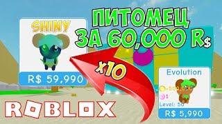 60000 РОБУКСОВ ЗА ПИТОМЦА СИМУЛЯТОР ТРЕНИРОВКИ ПИТОМЦЕВ! ОБНОВЛЕНИЕ ОАЗИС ROBLOX