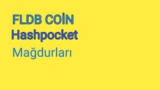 HASHPOCKET ve FLDB Coin Mağdurları  Ne Yapabiliriz?