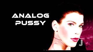 Analog Pussy - Psycho Bitch from Hell  - Official