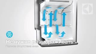 Технология TwinTech в холодильниках Electrolux