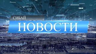 Выпуск новостей за 8 июня 2020 г.