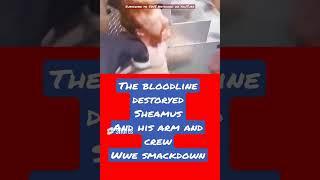 #thebloodline #bloodline #destroyed #sheamus ARM #wwesmackdown #smackdown #wwe