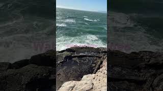 Enjoying sea video️#shorts#shorts#s #music #beach⭐️🫶️️