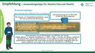 Ackerfuchsschwanz im Wintergetreide, Frühjahr 2021, LKSH