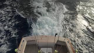 67th Annual Big Rock Blue Marlin Tournament Day-3 Bankwalker Weigh-In
