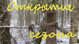 Открытие сезона на соболя 2022. Установка первых капканов КА-2У. Различные варианты установки.