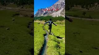 Bilamik Thorsay Meadows !! Natural beauty of GB #music #nature #jannatkashmir #shorts #ytshorts #gb