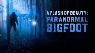 A Flash of Beauty 2: Paranormal Bigfoot